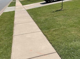 Robyn P.'s lawn care services service result