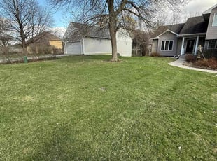 Nikki L.'s grass cutting service result