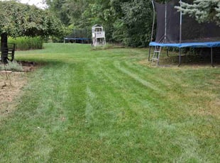 Haritha A.'s lawn service service result