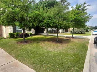 Annette S.'s yard service service result