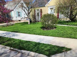 Leroy G.'s lawn care service result