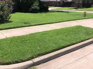 Theta Y.'s grass cutting service result