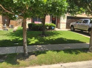 Jaden C.'s residential landscaping service result