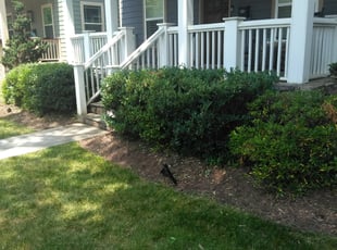 Marie W.'s Bush Trimming service result