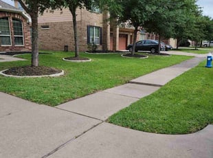 Laurie M.'s turf care service result