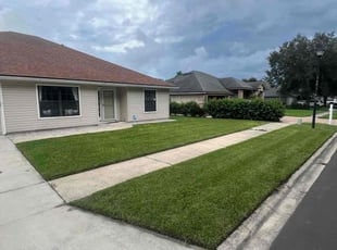 Leonardo H.'s lawn care service result