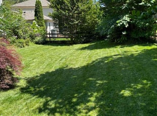 George S.'s turf maintenance service result