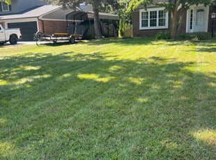 Cathy S.'s grass maintenance service result