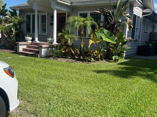 Brody M.'s grass maintenance service result