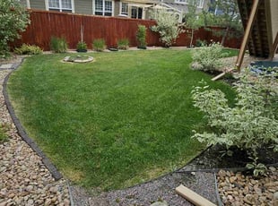Wanda K.'s grass cutting service result
