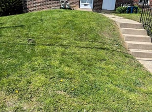 Jacob M.'s grass cutting service result