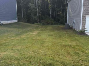 Kristine S.'s grass cutting service result