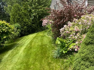 Thomas K.'s lawn service service result