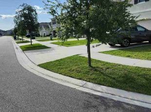 Deepak R.'s grass maintenance service result