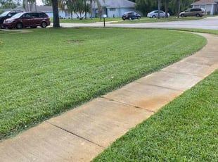 Erik W.'s lawn care service result