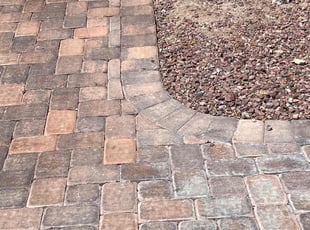 David L.'s turf care service result