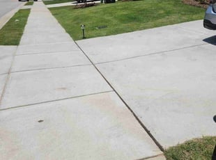 Alex W.'s lawn maintenance service result