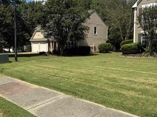 Kelsey W.'s grass maintenance service result