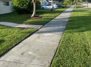 Gloria R.'s lawn care service result