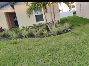 Teresa J.'s lawn service service result