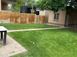Lisa H.'s grass cutting service result