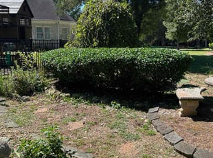 Todd S.'s Bush Trimming service result