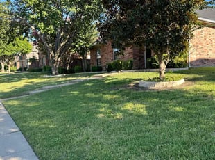 Hollie L.'s lawn maintenance service result