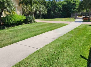Dong N.'s lawn maintenance service result