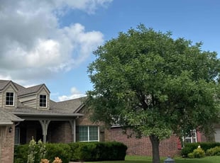 David G.'s lawn service service result