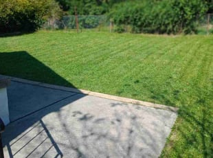 Vanessa S.'s turf maintenance service result