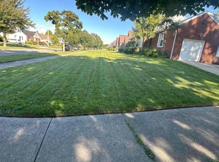 Christopher B.'s turf maintenance service result