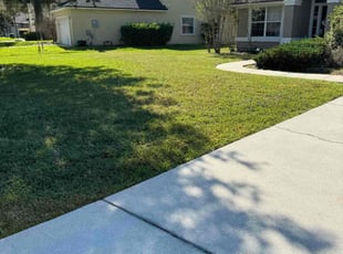 Kellie F.'s lawn service service result