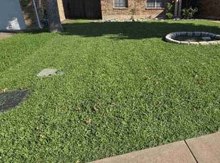 Kim N.'s lawn care service result