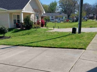 Lorraine H.'s lawn care services service result