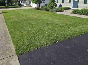 Chris S.'s lawn care service result