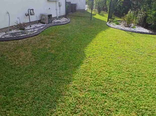 Sally R.'s lawn care service result