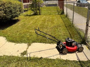 Jim N.'s grass maintenance service result