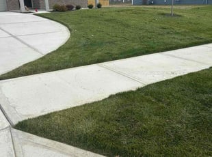 Lachlan A.'s lawn service service result