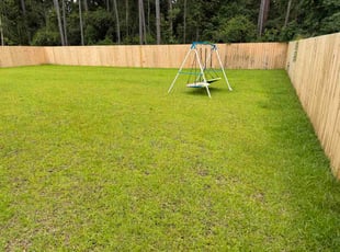 Wayne W.'s turf care service result