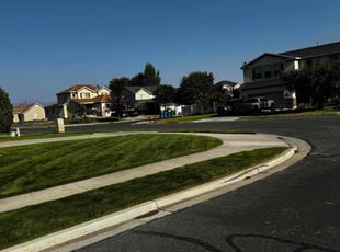 Bryan B.'s lawn care services service result