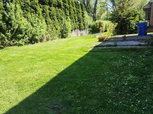 Adam S.'s lawn care service result