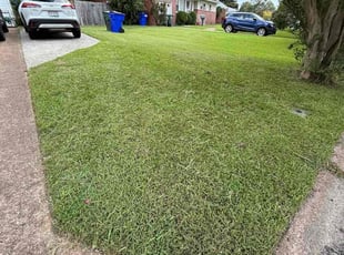 Regina M.'s lawn care services service result