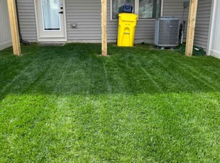 Kyiaco W.'s lawn maintenance service result