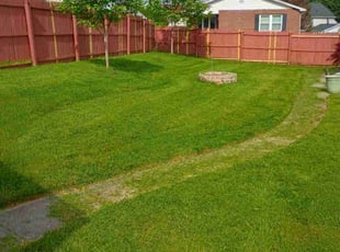 Tenaya T.'s lawn care service result