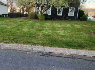 Janet W.'s lawn service service result