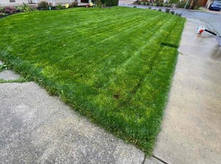Beverly P.'s turf maintenance service result
