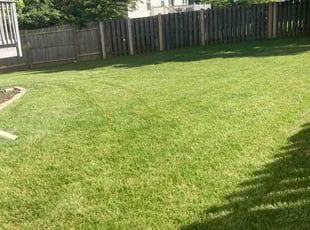 Anna H.'s lawn care services service result