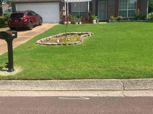 Melanie J.'s lawn maintenance service result