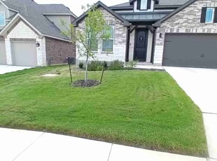 james t.'s lawn maintenance service result
