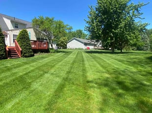 Antrone W.'s lawn maintenance service result